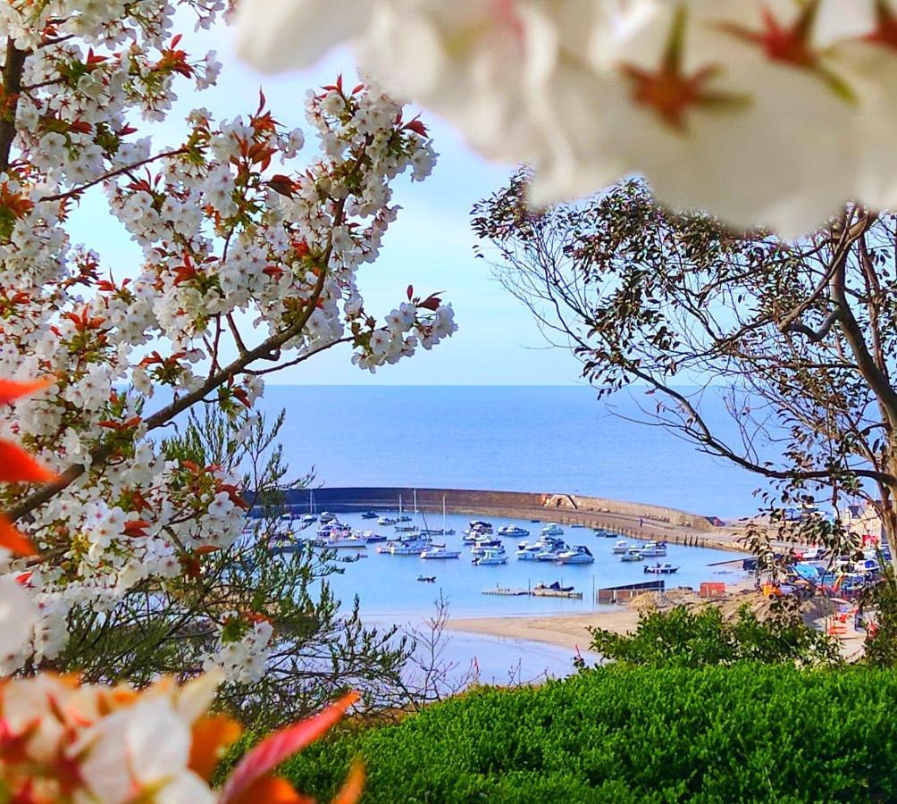 Апартаменты Seabreeze Лайм-Реджис